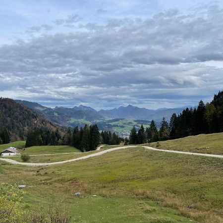 Ferienhaus Kaiserblick - Fewo2 Walchsee Exteriér fotografie