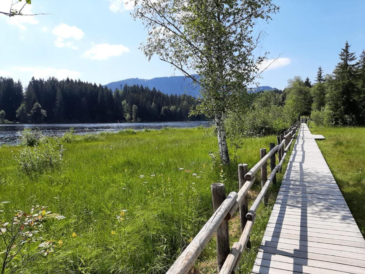 Ferienhaus Kaiserblick - Fewo2 Walchsee Exteriér fotografie