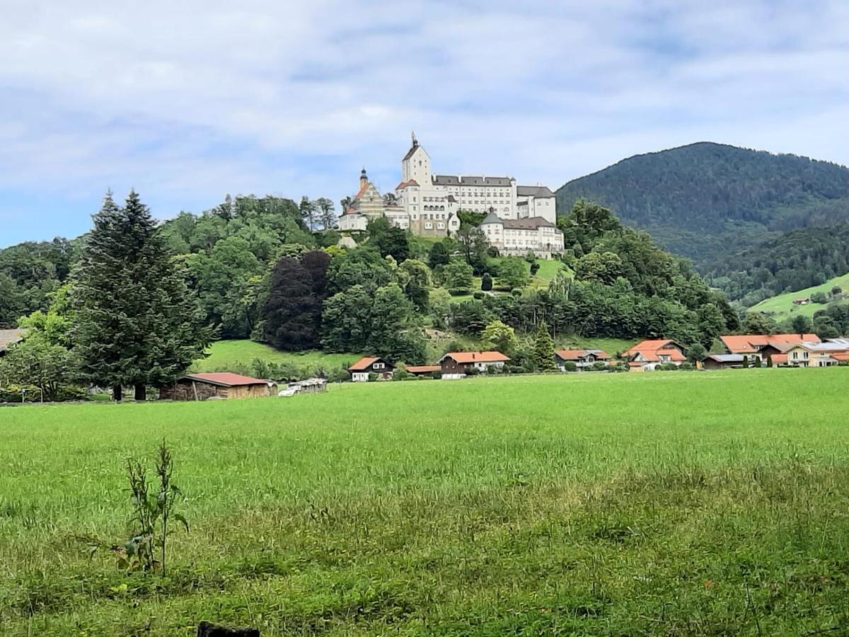 Ferienhaus Kaiserblick - Fewo2 Walchsee Exteriér fotografie