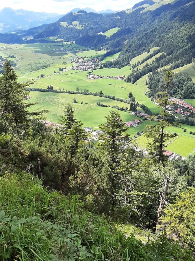 Ferienhaus Kaiserblick - Fewo2 Walchsee Exteriér fotografie